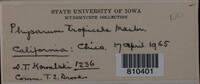 Image Associated With the Occurence